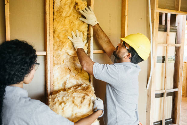 Best Eco-Friendly or Green Insulation Solutions  in Lockport, IL